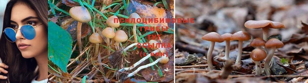 мет Нея