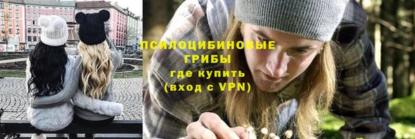 стаф Нефтекумск