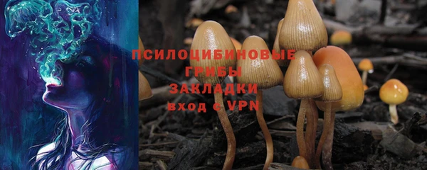 стаф Нефтекумск